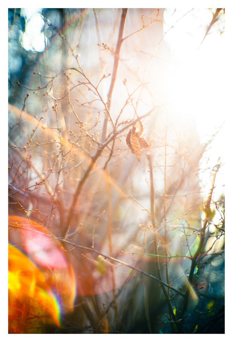 kujisan (@kujisan73) / Posts / X