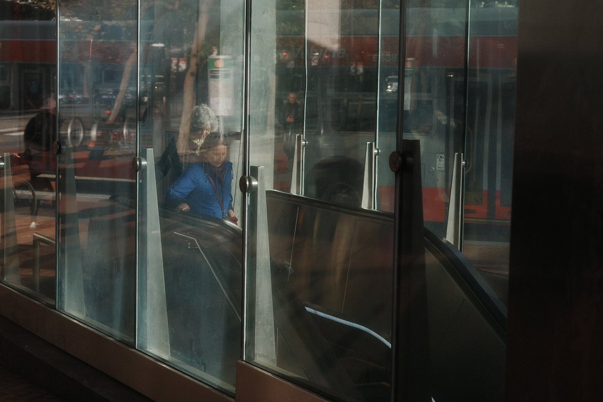 Leo 🌞 tweet media