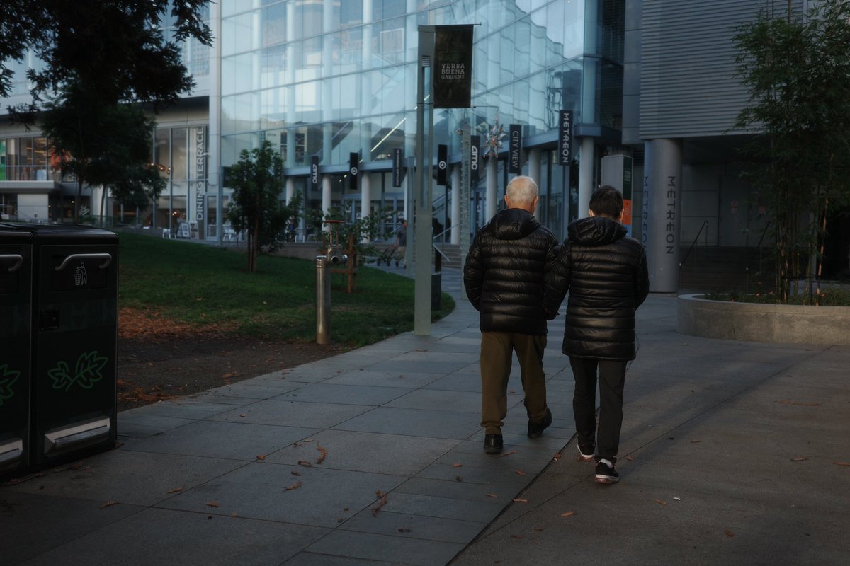 Leo 🌞 tweet media