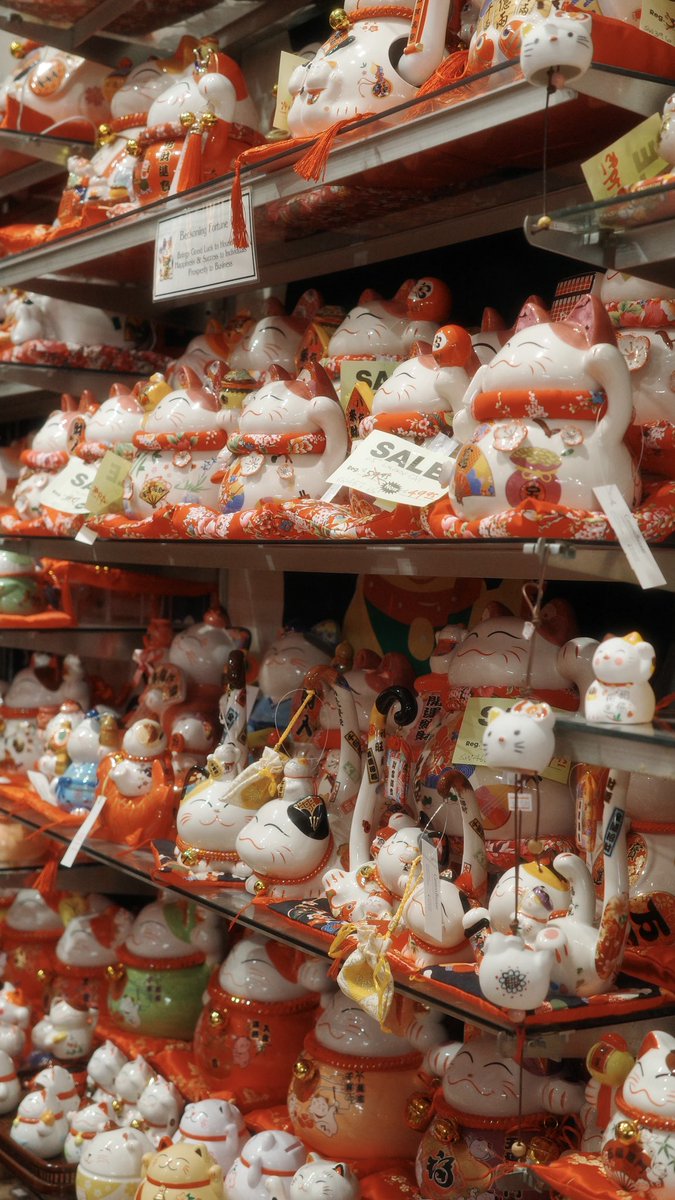 Leo 🌞 tweet media