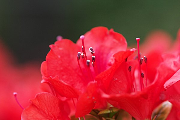 占いサロン順震(原宿当たる占い師5選、ヤフー占い売上No1占い師）12