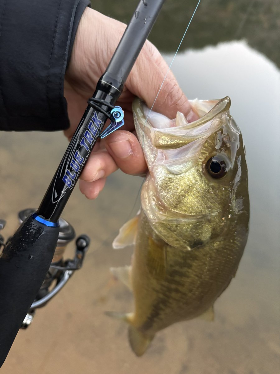 サイコロラバーのRDSが
最近いい感じ！！

#ブルートレック