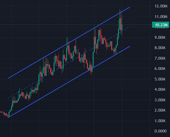 Shrebobo tweet media