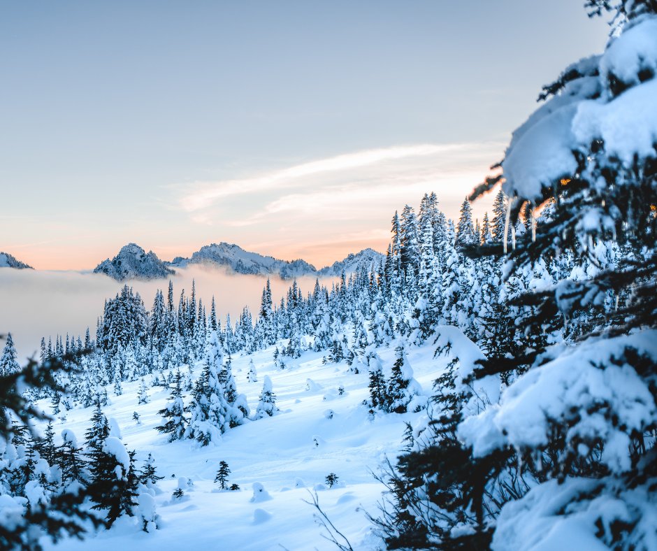 WANatlParkFund's tweet photo. Itโs the first day of winter, and soon the parks will look like this. โ๏ธ
See winter sweep across Mount Rainier, North Cascades & Olympic National Parks in real time on the parks' live webcams: https://t.co/wEAWthBjcS
#ForTheParks https://t.co/uMMvlbb3E5