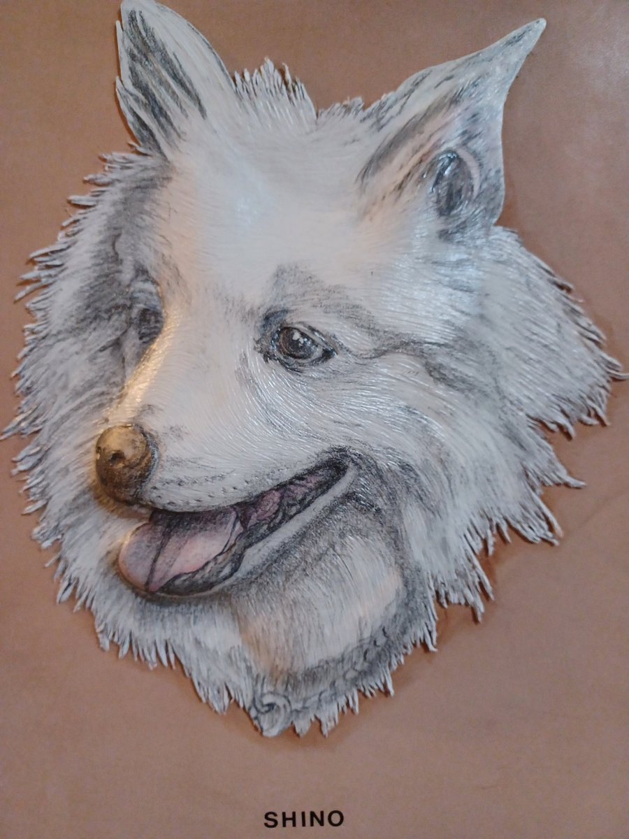 黒猫モモ@切り絵作家 (@momowanwan01151) / Posts / X