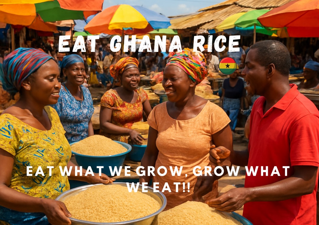 selormmorrison's tweet photo. 17th to 23rd December

Choose Quality,Choose Nutrition,Choose Ghana Rice! 

📍 Venue: Opposite University of Ghana Stadium Car Park
⏰ Time: 8:30am – 5:00pm daily

Participation, Sponsorship &amp; Partnership

Contact Godwin

📞 054 126 1799

theagribusinesschamber@gmail.com https://t.co/IXFryRhc7o