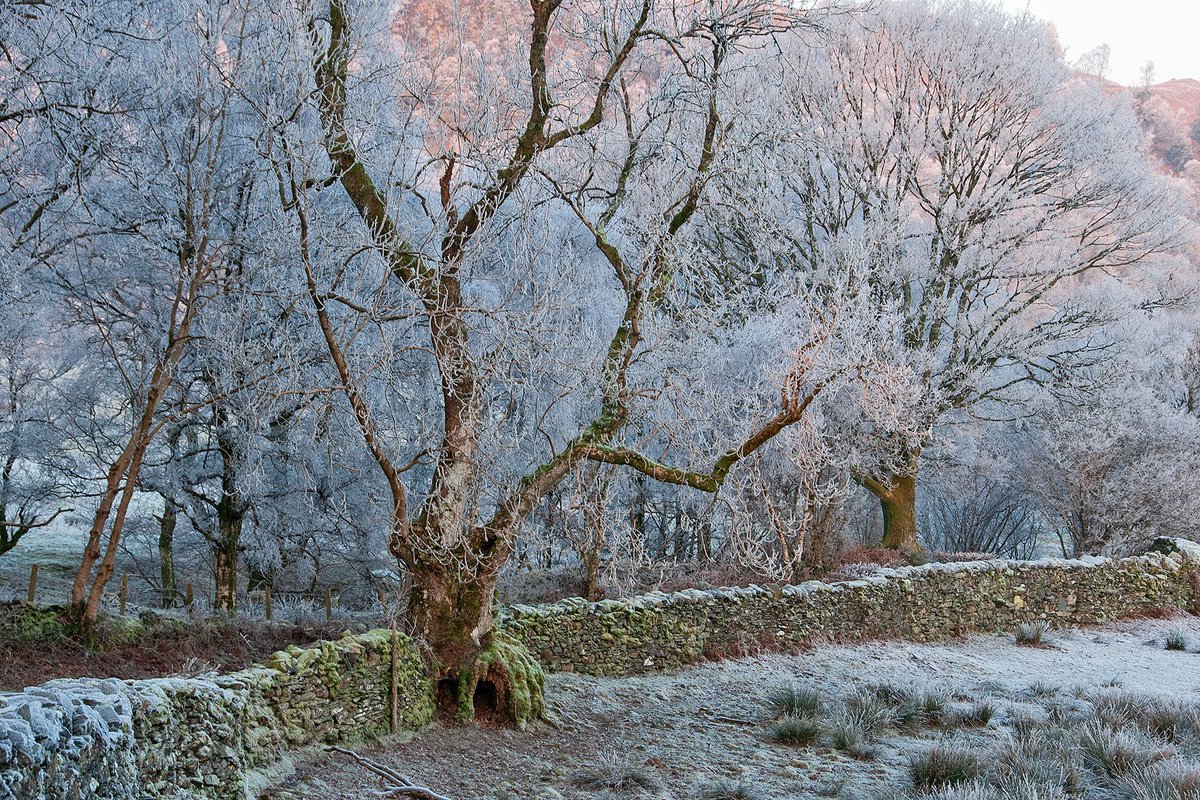 MythoBritannia's tweet image. 