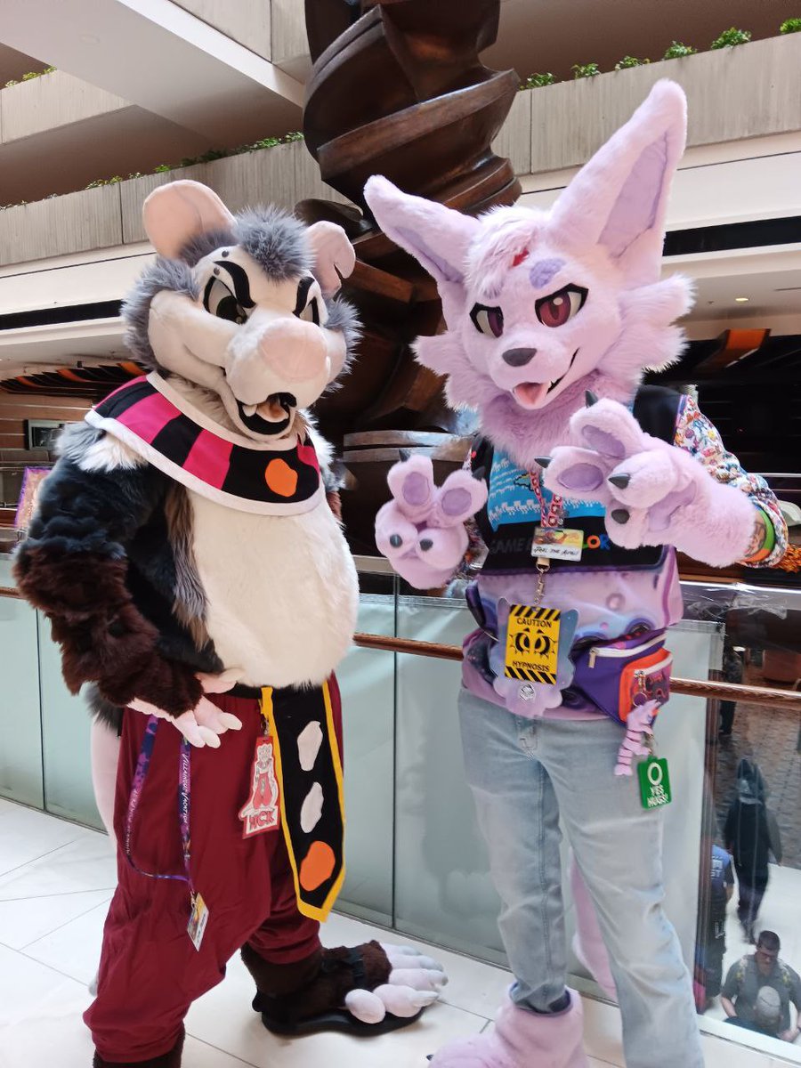 Techy Teqi tweet media