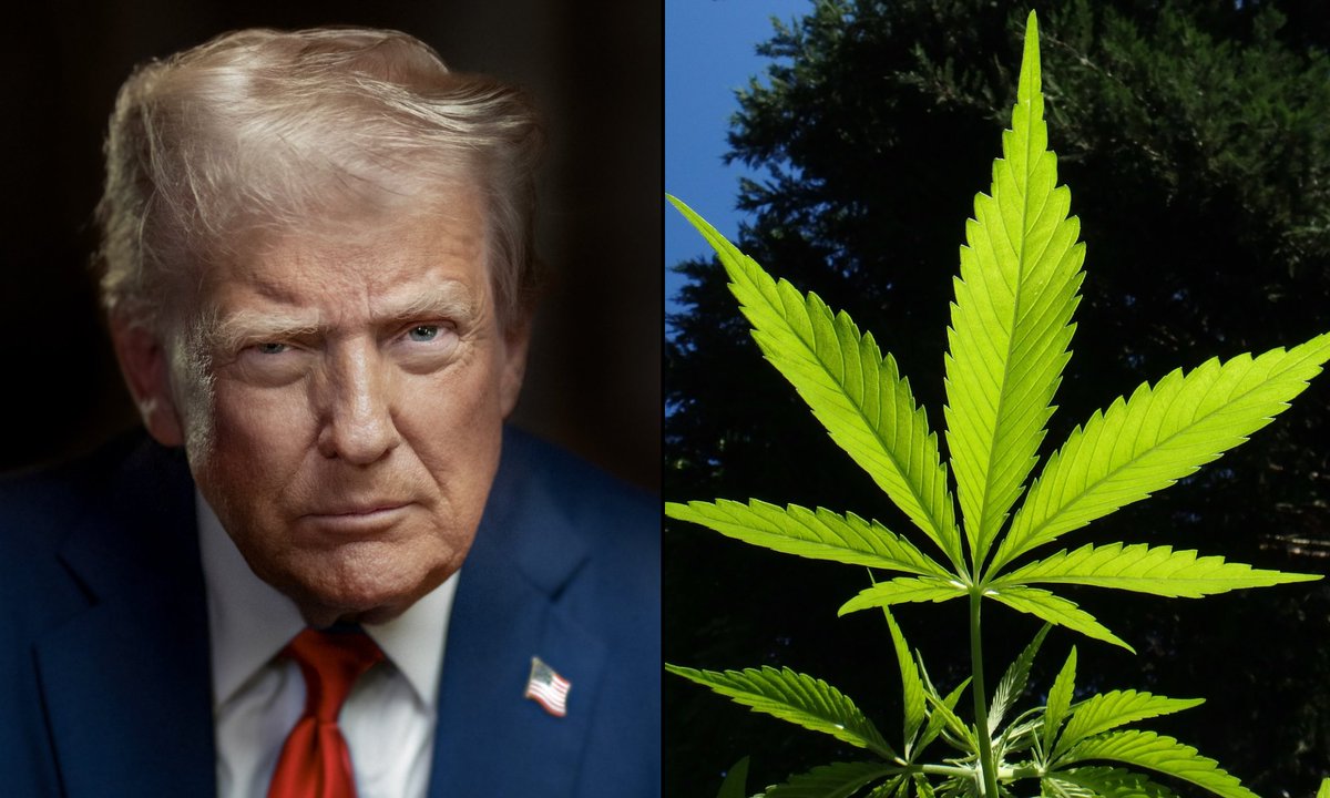 🚨🇺🇸 BREAKING: TRUMP TO SIGN MARIJUANA RECLASSIFICATION ORDER AS SOON AS MONDAY, CANNABIS STOCKS EXPLODE

The market is pricing in a new era.

Trump is expected to sign an executive order as soon as Monday directing federal agencies to reclassify marijuana from Schedule I