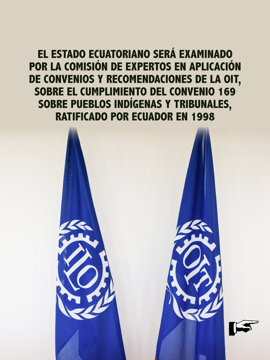 AFrontlines_ES's tweet photo. El Estado ecuatoriano será evaluado por la Organización Internacional del Trabajo - @OITnoticias - por incumplimientos al #Convenio169, el tratado internacional más importante sobre derechos colectivos de los #PueblosIndígenas.

En coalición con organizaciones de la sociedad civil,  de #DDHH y de pueblos y nacionalidades indígenas, afroecuatorianos y montubias, presentamos un informe que denuncia violaciones a derechos colectivos como la consulta previa, libre e informada, de protección territorial y autonomía, en un contexto de represión y criminalización.

Esperamos que la OIT examine los actos y omisiones que ha cometido el Estado ecuatoriano y establezca las recomendaciones necesarias para que cesen las vulneraciones a los derechos.

@prensaceosl @CentroTrabajoEc @DDHH_Alianza @AFrontlines @amazonwatch @CEDENMA @inredh @AcEcologica @AlianzaCeibo @pakkiru_org @WaoResistencia @NSiekopai @cobnaep @foazuay93

Conoce más 🔗👇
https://t.co/ufxV84tQ76