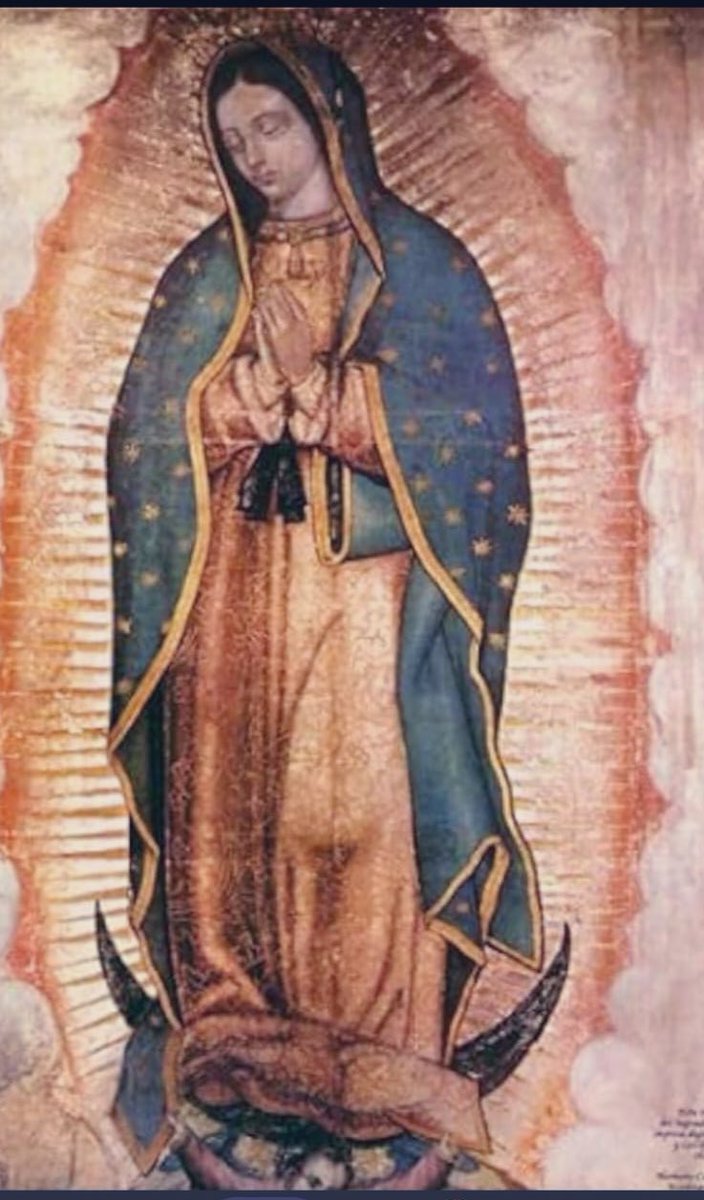 Alejandra Avalos tweet media