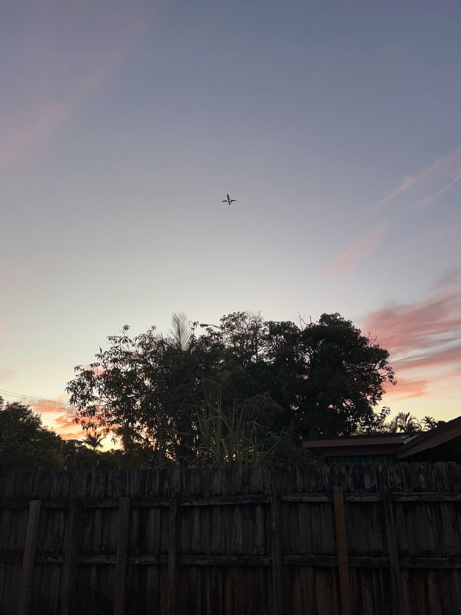 j_ferris221629's tweet image. #Sunsetting from East to West of my home town So. Florida 👍🏼 #Pinkskies!