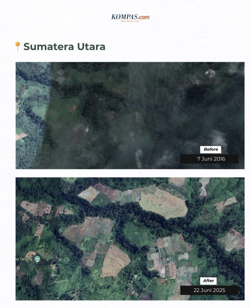 panca66's tweet photo. @walhinasional @PDemokrat @SBYudhoyono Bahkan dari data citra satelit bisa kita lihat deforestasi gila2an terjadi dalam 10 tahun terakhir. Silakan diamati data citra satelit yang saya bagikan berikut ini https://t.co/gPd5U4nubw