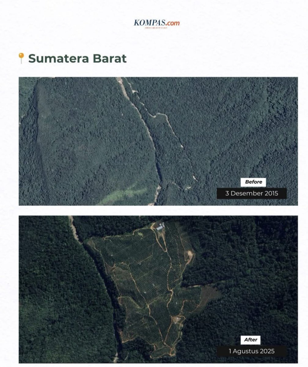 panca66's tweet photo. @walhinasional @PDemokrat @SBYudhoyono Bahkan dari data citra satelit bisa kita lihat deforestasi gila2an terjadi dalam 10 tahun terakhir. Silakan diamati data citra satelit yang saya bagikan berikut ini https://t.co/gPd5U4nubw