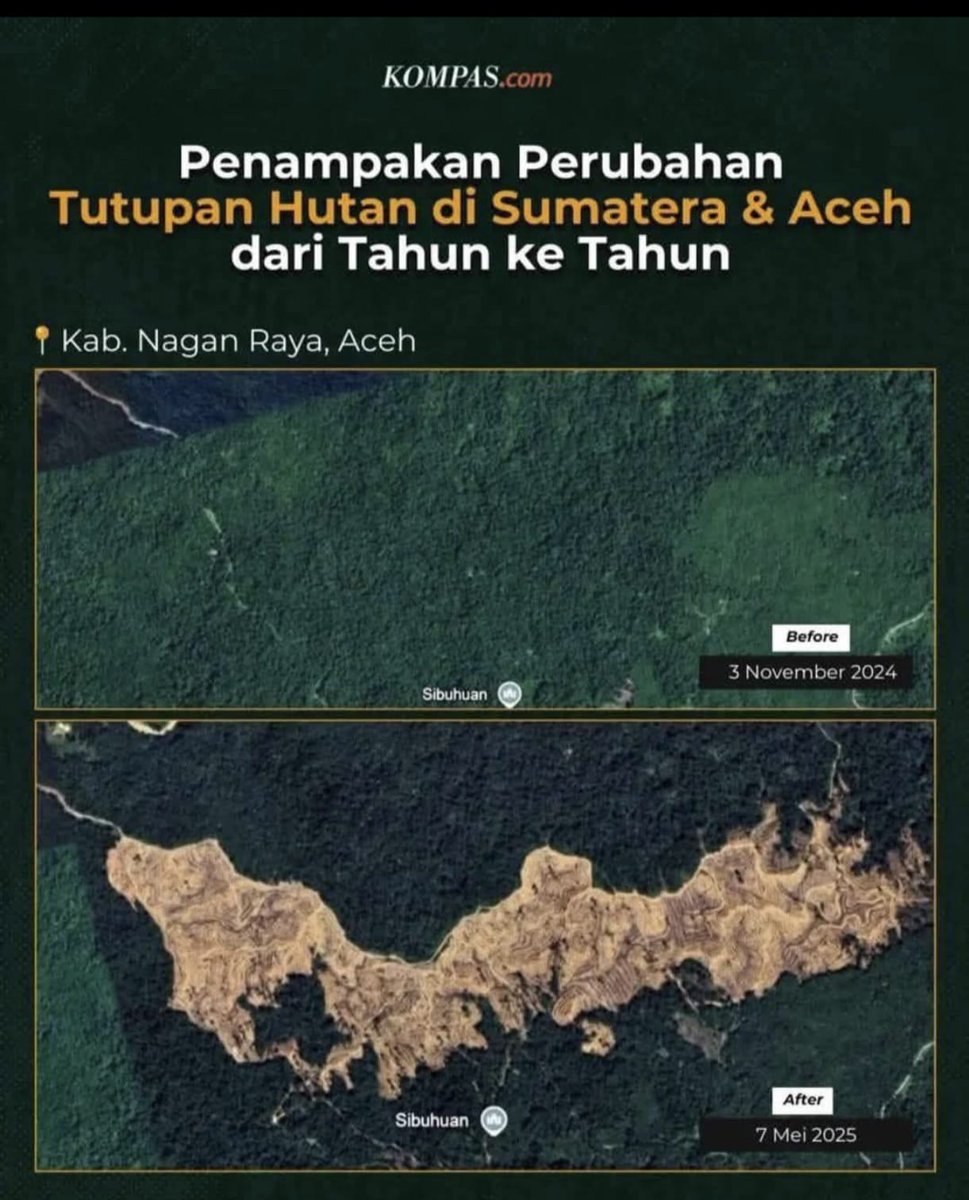 panca66's tweet photo. @walhinasional @PDemokrat @SBYudhoyono Bahkan dari data citra satelit bisa kita lihat deforestasi gila2an terjadi dalam 10 tahun terakhir. Silakan diamati data citra satelit yang saya bagikan berikut ini https://t.co/gPd5U4nubw