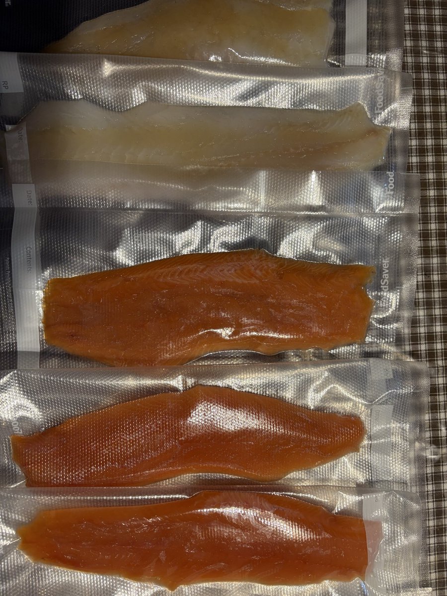 サクラマスと鱈の昆布締め完成！