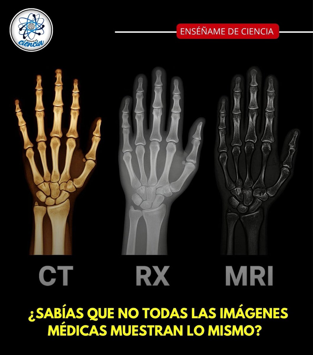50x67cm Laminado Calidad 3B Scientific | 50x67cm | Laminado Doble Cara |  Educación Médica Póster Anatomía Mano, image size:1058x1200