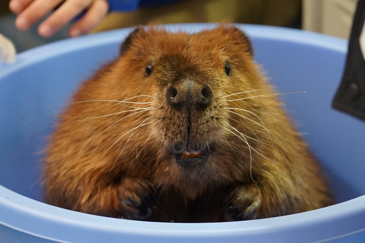 ⭐️みさです。 私も見たかった🥲