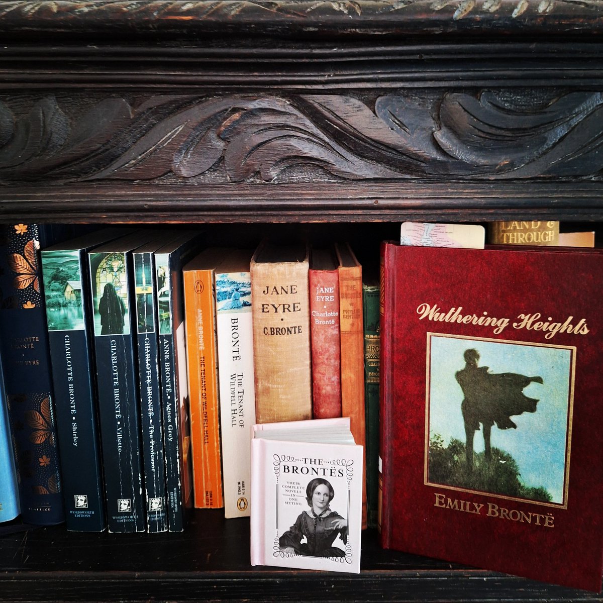 natalie richards tweet media