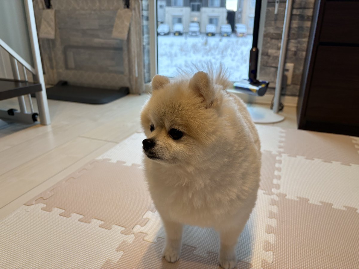 ゴン太　画像1 + 3 + 9 CC83BR-PC18 オカムラ コンテッサ セコンダ コンテッサセコンダ