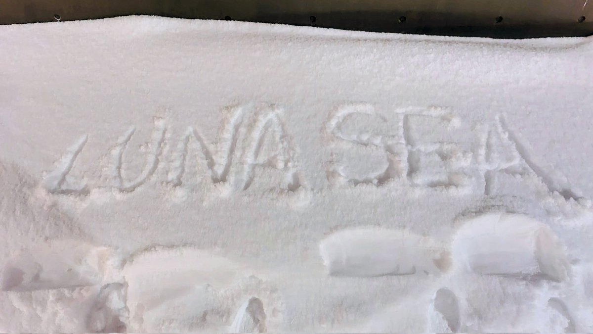 ひろりん (@hirorin823) / Posts / X