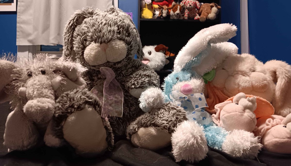 ShadowGohan7's tweet image. Next up is Team Puffles vs Team Winifer