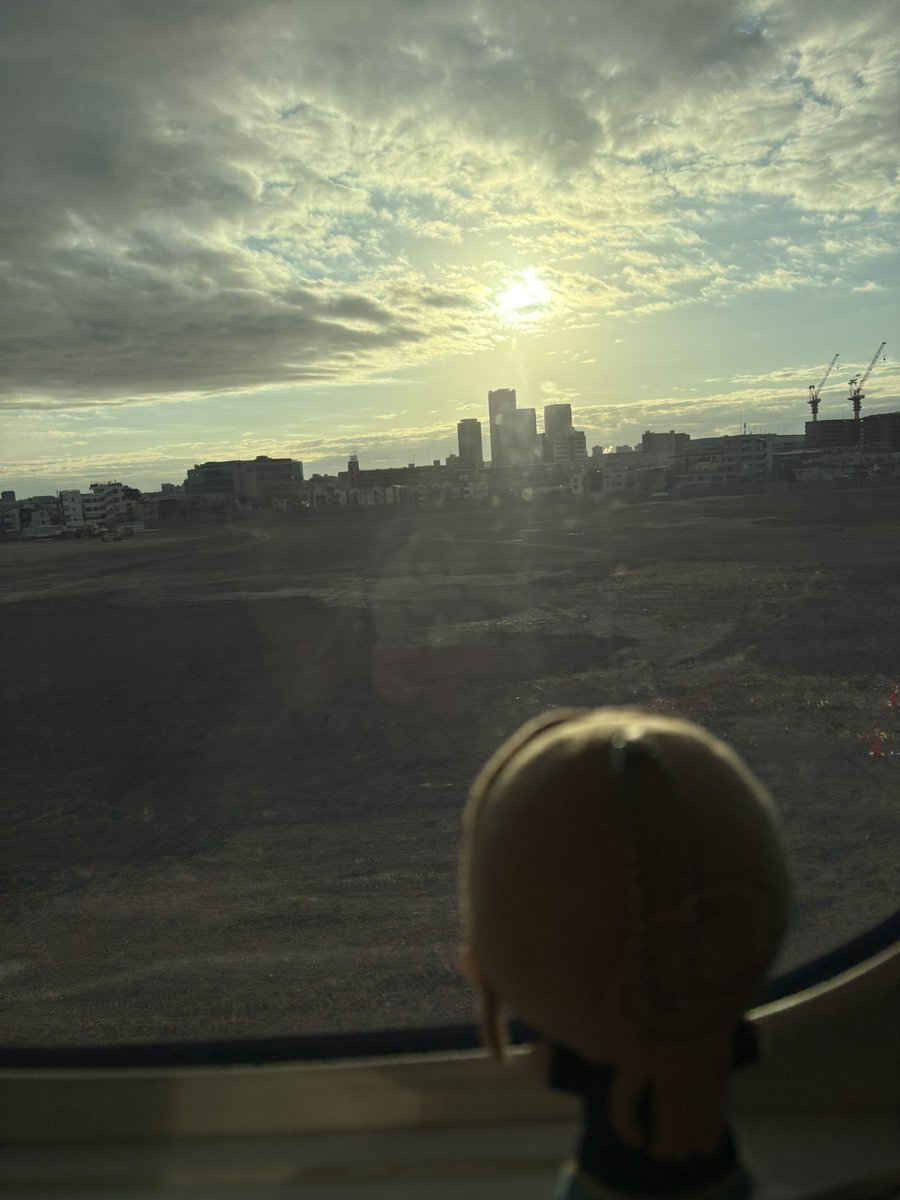 莉波、希望の朝だよ