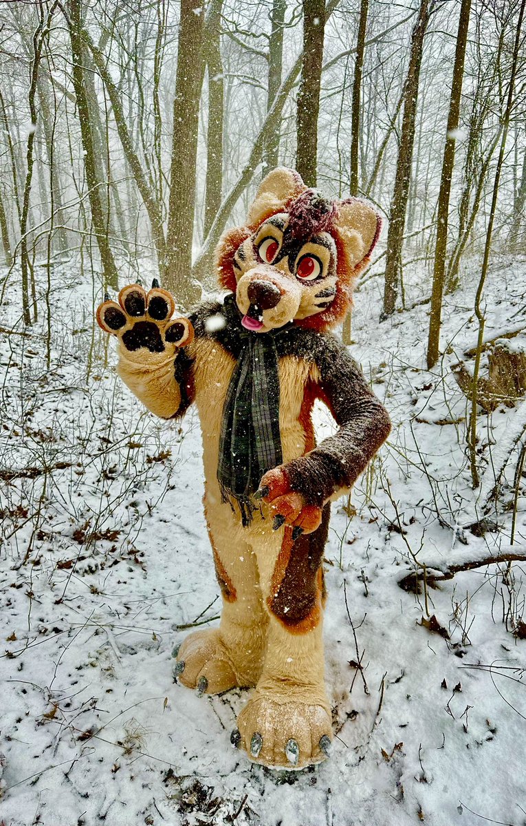 Happy winter Friday fluffs ❄️

#FursuitFriday #furry 📸 <a href="/PaxtonRaze/">🔸Paxton Raze🔸 🔜 EF</a>