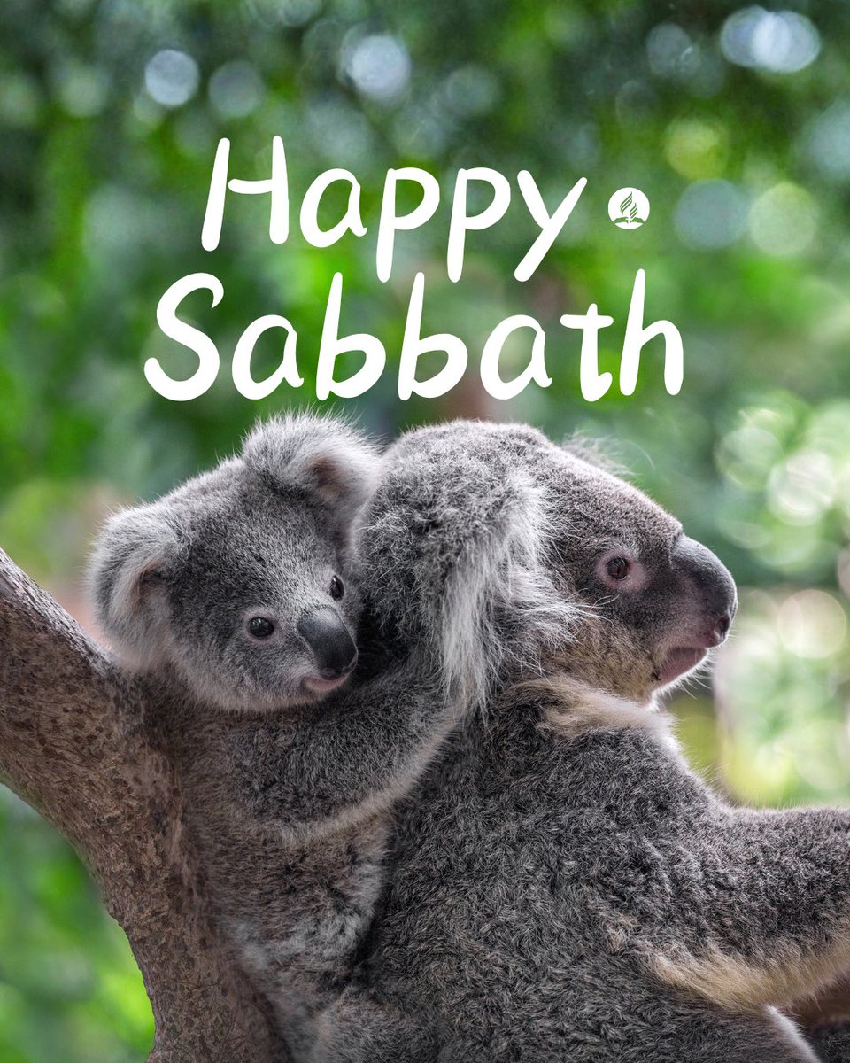 Florida Conference of Seventh-day Adventists tweet media