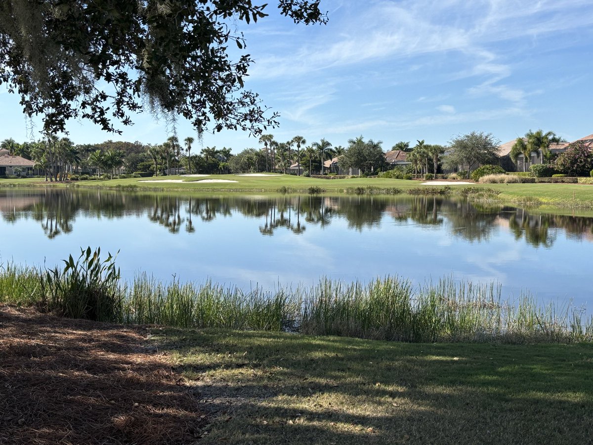 CalusaGCSA tweet media