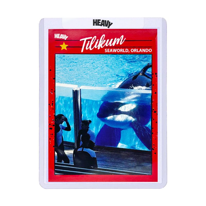 Brian's Sports Cards & Art tweet media