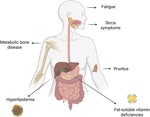AJG - The American Journal of Gastroenterology tweet media