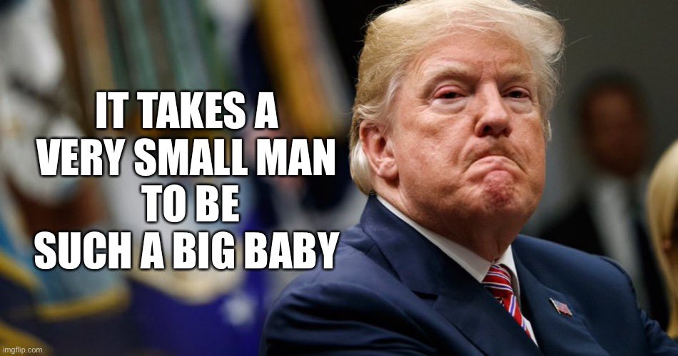 carolyn_from's tweet image. When trump can’t answer the question he lashes out like a petulant child.