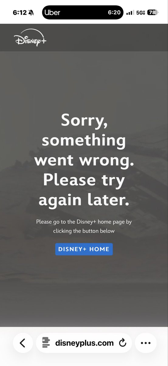 Lisa Throckmorton tweet media