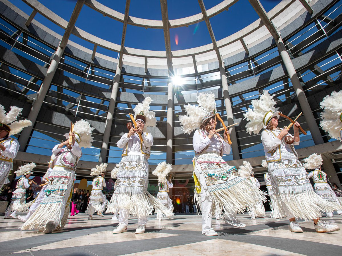 Universidad de Monterrey tweet media