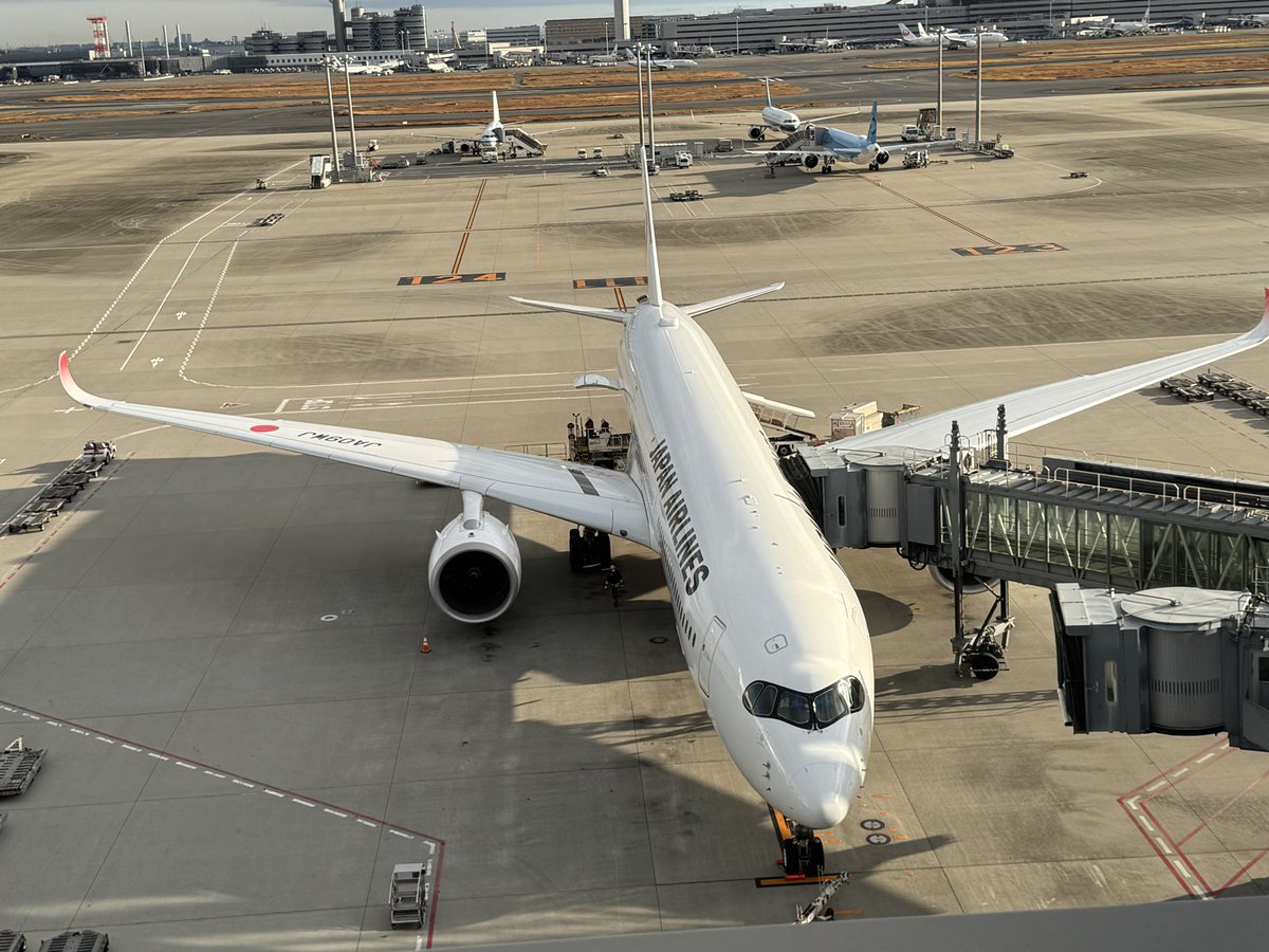 ND5RCTW2_'s tweet image. 展望デッキでエンジン音とケロシン臭浴びるのたまんねぇ〜🪶
#HND
#RJTT