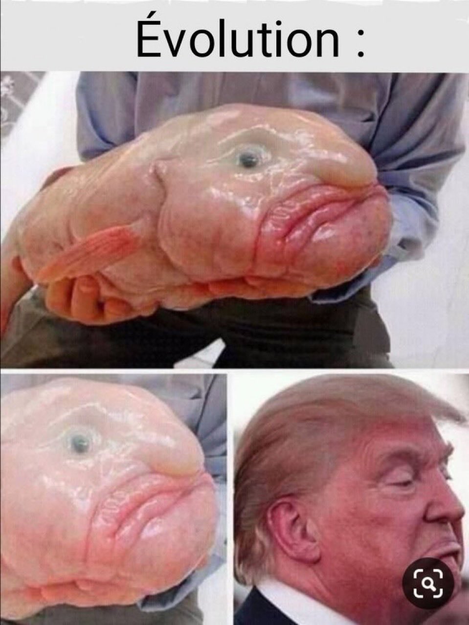 G8ASyPLW4AMuMMP?format=jpg&name=large