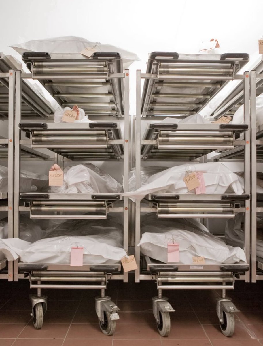 RODENTBARF's tweet image. This is where I post from in case y'all were wondering