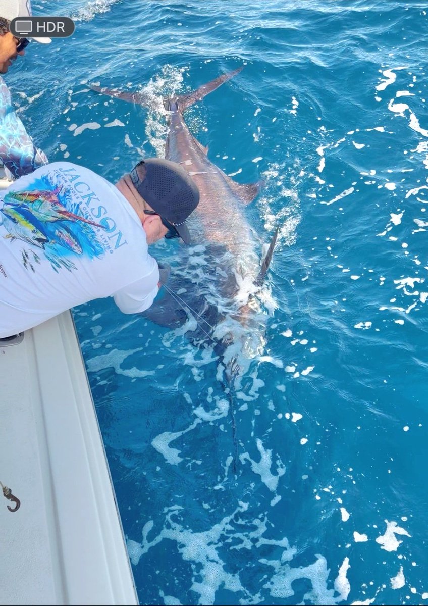 PuertoCharters's tweet image. Puerto Vallarta fishing 
travelvallarta.com