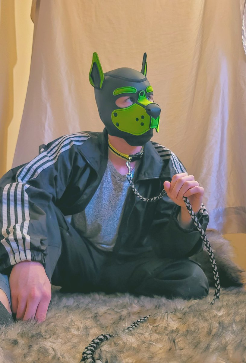 geopupper's tweet image. Leashed into chaos💫💚