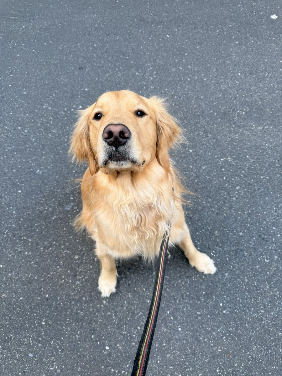 むぎとエール (@mugimeshi05) / Posts / X