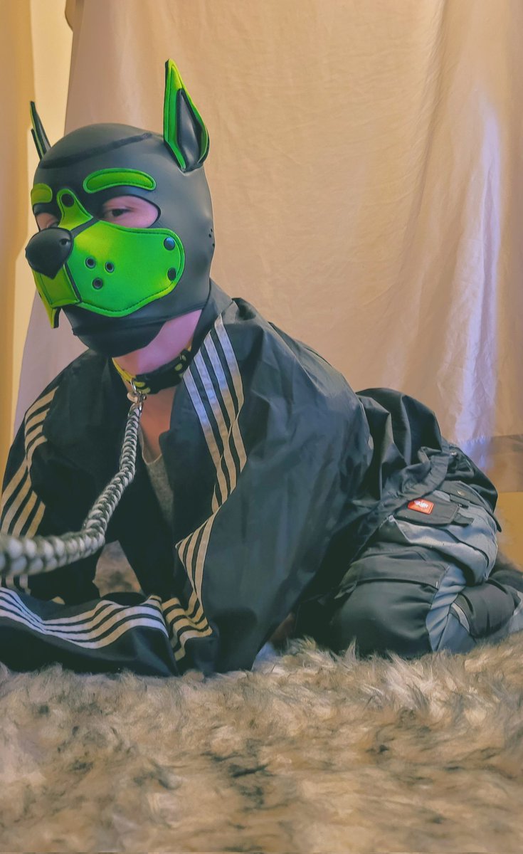 geopupper's tweet image. Leashed into chaos💫💚