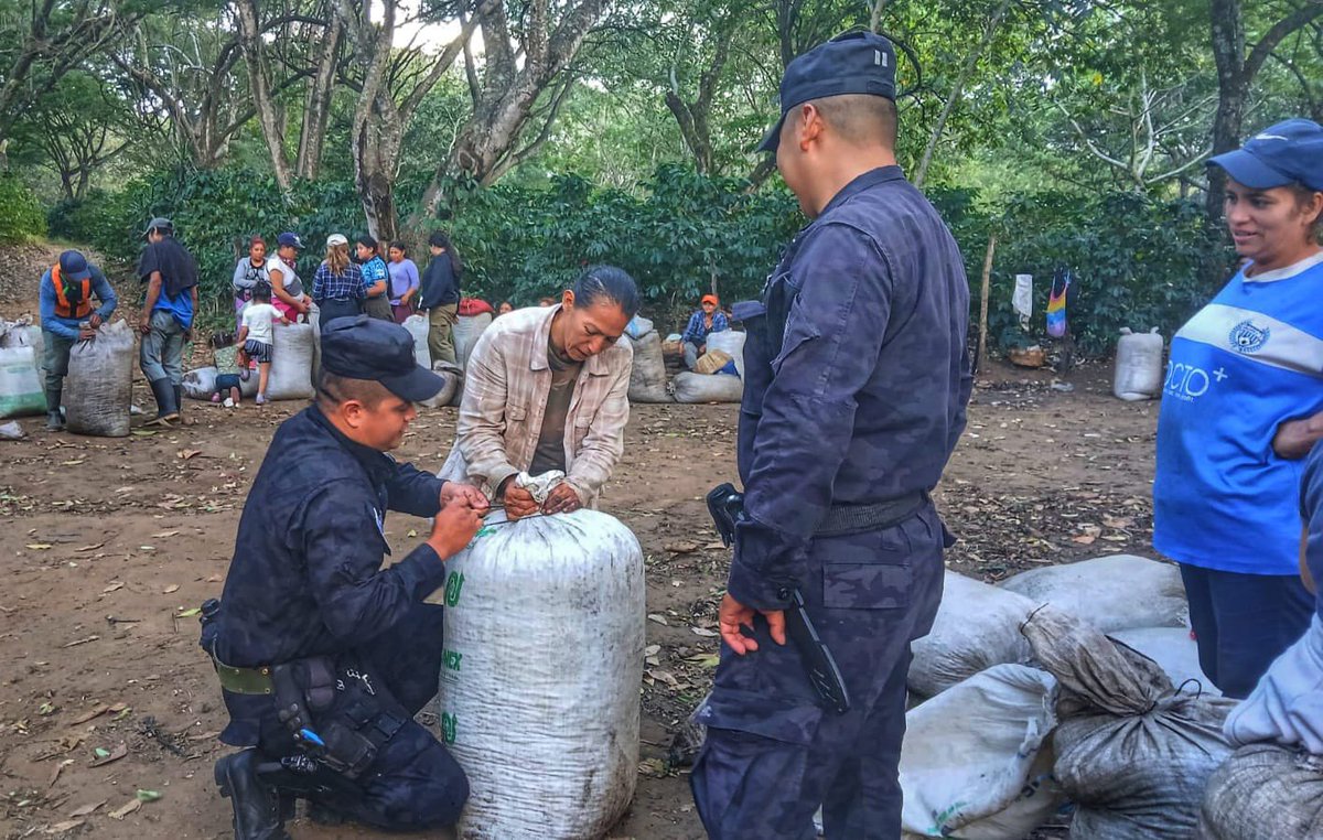 PNCSV's tweet photo. ☕👮🏼‍♂️En el distrito de San Juan Opico, La Libertad Centro, la Policía Rural no sólo se encarga de la seguridad de los trabajadores en las cortas, sino que también, brindan su ayuda en esta labor. 

Trabajamos de cerca con la población.

#PlanControlTerritorial https://t.co/z30muwfORF