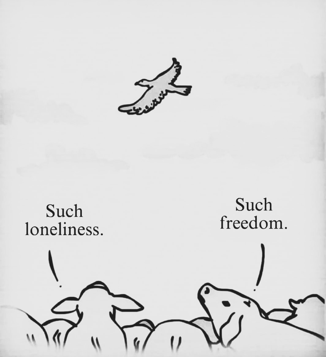 Black. (@blackdreamvibes) on Twitter photo 