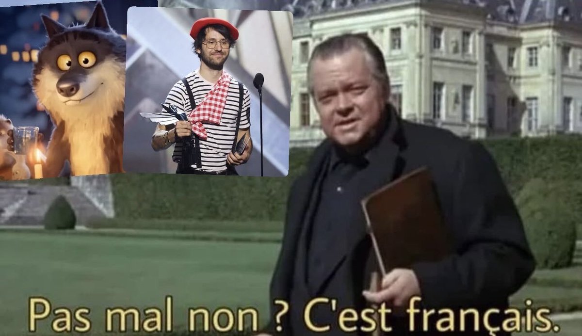 🇫🇷
