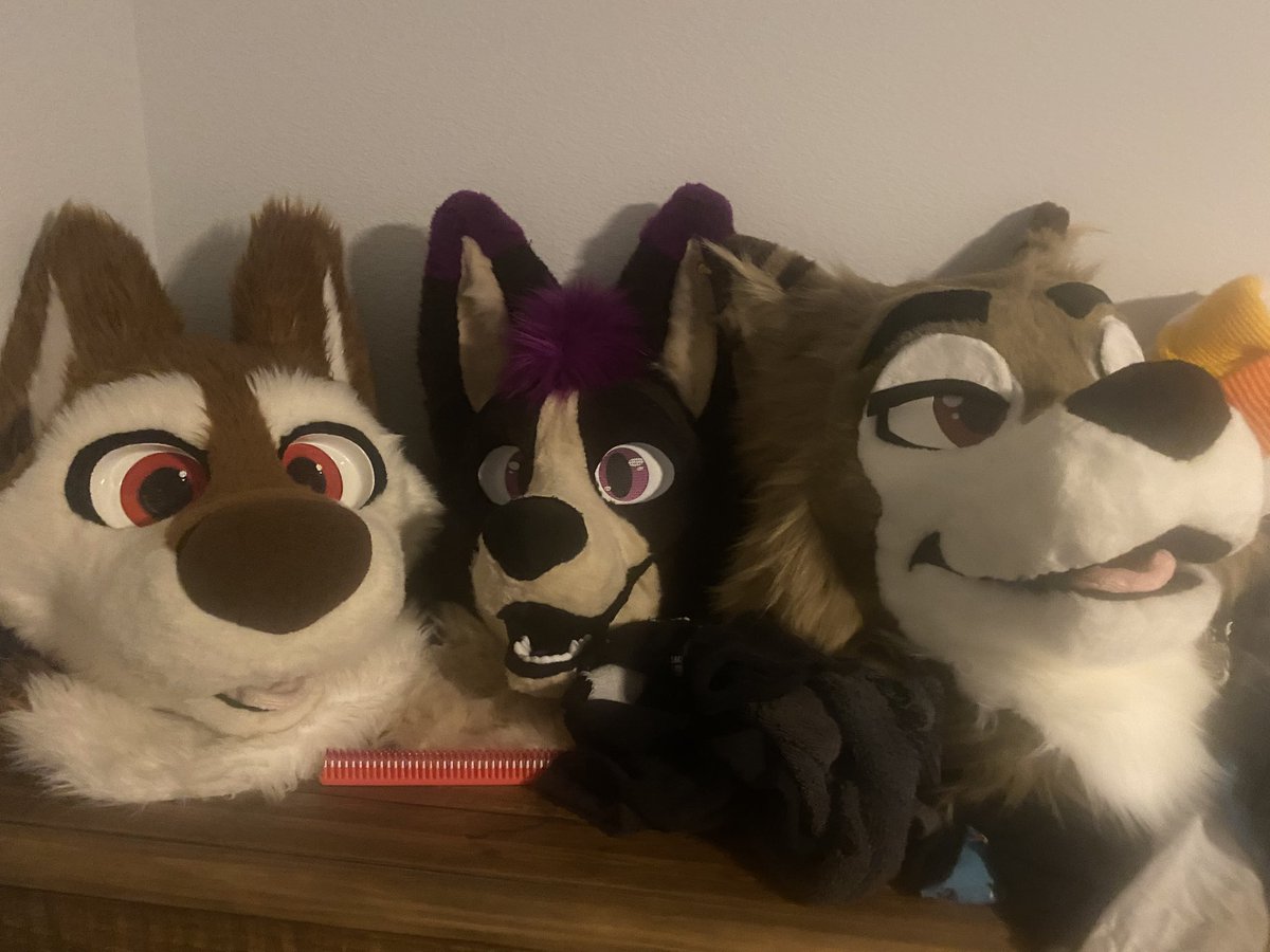 The husky pile :3