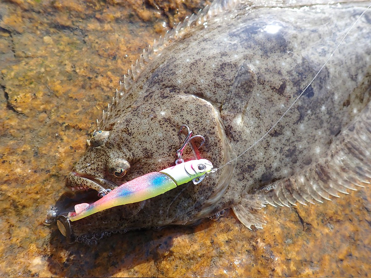 GONZO＠（hayaken) (@GONZOUDAIWA) / Posts / X