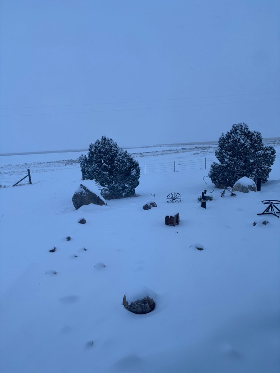 Kathy Rice tweet media