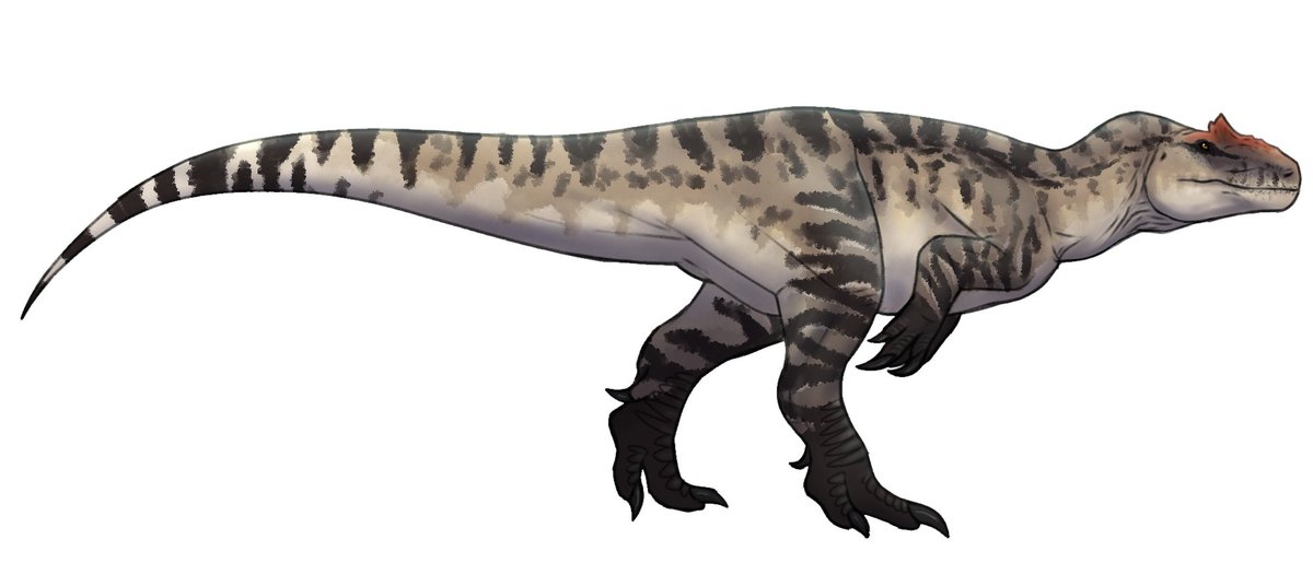 skyller_dragon's tweet image. Drew allosaurus