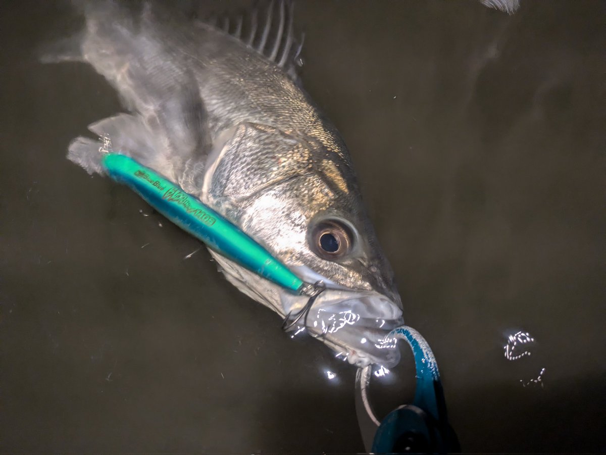 Muto (@Cameler89) / Posts / X